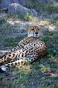 20090615_132544 D3 X1